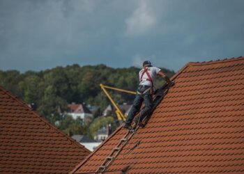 Importance of Professional Roofing Services