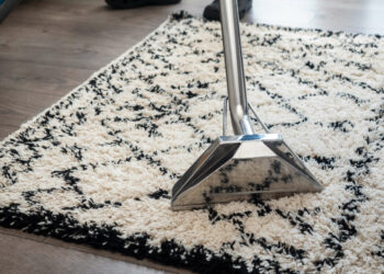 Benefits of Professional Area Rug Cleaning