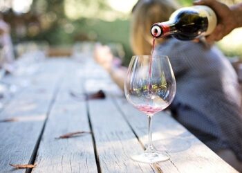 Why Take A Wine Tour In 2022