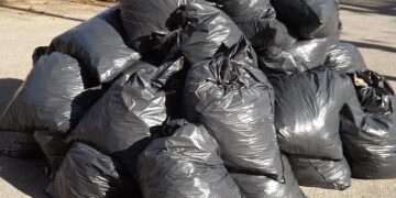 What is the Need for Professional Rubbish Removal Services?