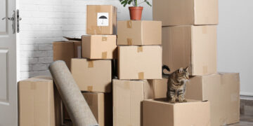 5 Reasons To Hire A Professional Home Removal Company
