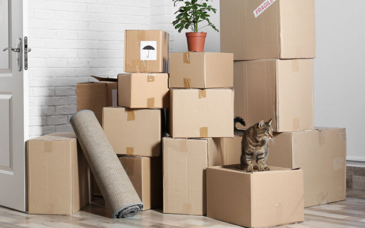 5 Reasons To Hire A Professional Home Removal Company