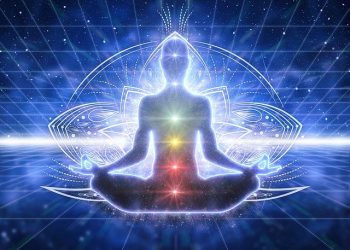 About Magic Mushroom Retreats