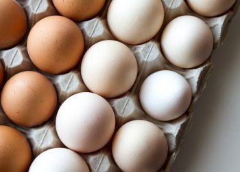 How do I know if I have healthy cholesterol?