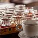 So Why Try Kopi Luwak Coffee?
