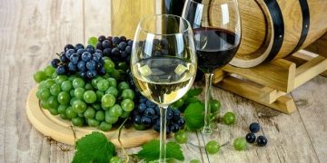 Wine Culture in Israel