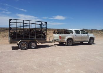 Shopping For Trailer Parts