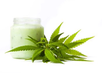 CBD skin cream: How to use and best options