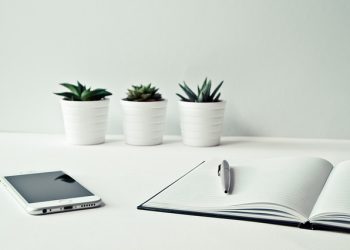 Do I Need A Telephone Number For My Business In 2023?
