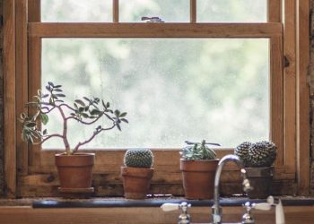 Real Reasons to Choose Wooden Windows