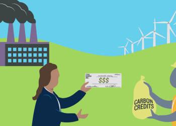 Worldwide Carbon Credit Initiatives