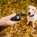 Are Electric Shock Dog Collars Worthwhile?