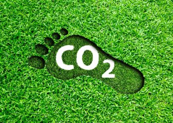 What Exactly Is Carbon Footprinting?