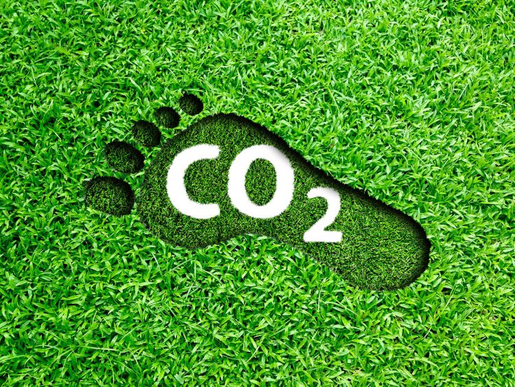 What Exactly Is Carbon Footprinting?