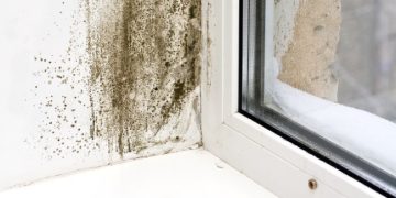 Why Use a Housing Disrepair Solicitor?