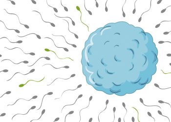 How to Prepare for a Male Fertility Test
