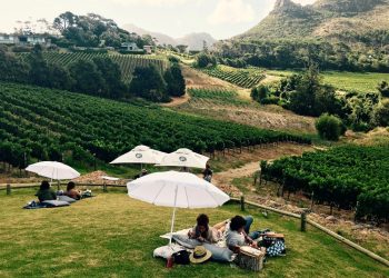 Top Reasons To Go On A Cape Town Wine Tasting Holiday