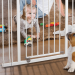 Safeguarding Tiny Explorers: The Art of Choosing the Best Baby Gates