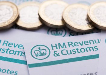 Why Use a Professional for a Tax Rebate