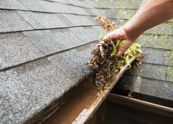 Tips for Getting the Most Out of Your Gutter Cleaning Service
