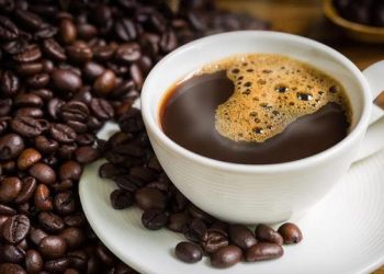 Ethically Sourced Kopi Luwak: A Guide to the World’s Most Expensive Coffee