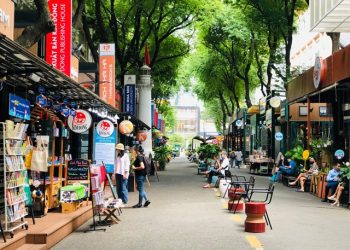 What to Expect on a Guided Tour to Vietnam