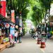 What to Expect on a Guided Tour to Vietnam
