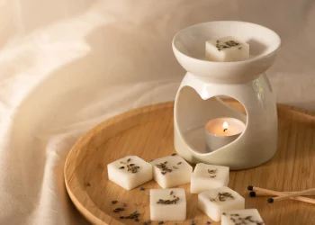 Safety, Scent, and Sustainability: The Comprehensive Guide to Wax Melts