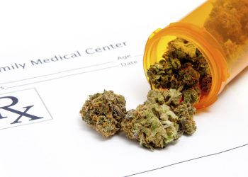 Navigating the Medical Landscape: How Cannabis is Changing Patient Care