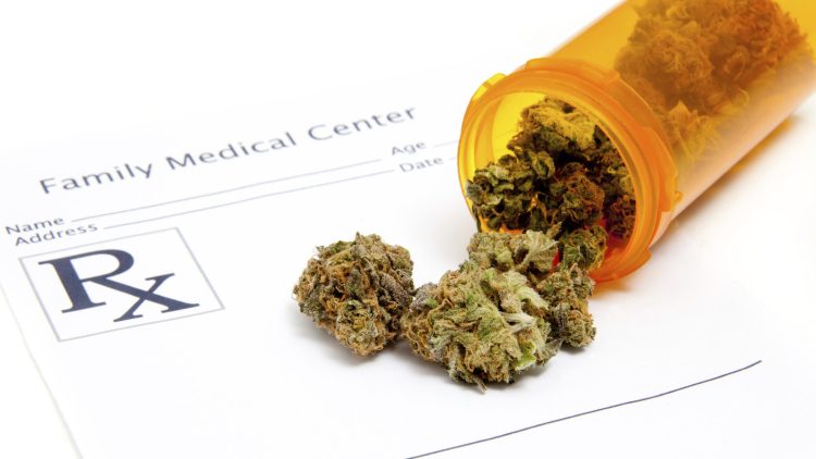 Navigating the Medical Landscape: How Cannabis is Changing Patient Care
