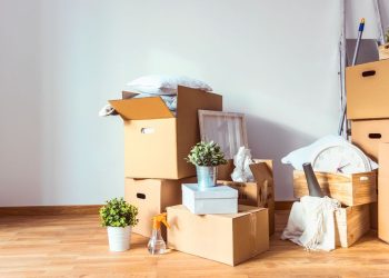 Removal Boxes: The Key to a Stress-Free Moving Experience