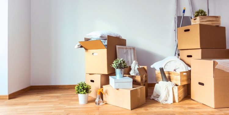 Removal Boxes: The Key to a Stress-Free Moving Experience