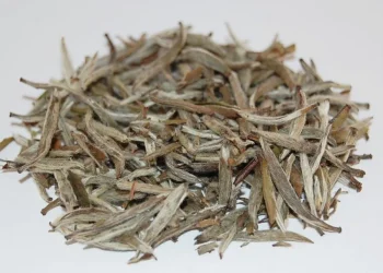The Ethical Tea Guiding Global Palates: Organic White Tea’s Rise