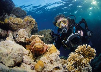 Enchantment Beneath the Waves: Unraveling the Allure of Diving in Hurghada