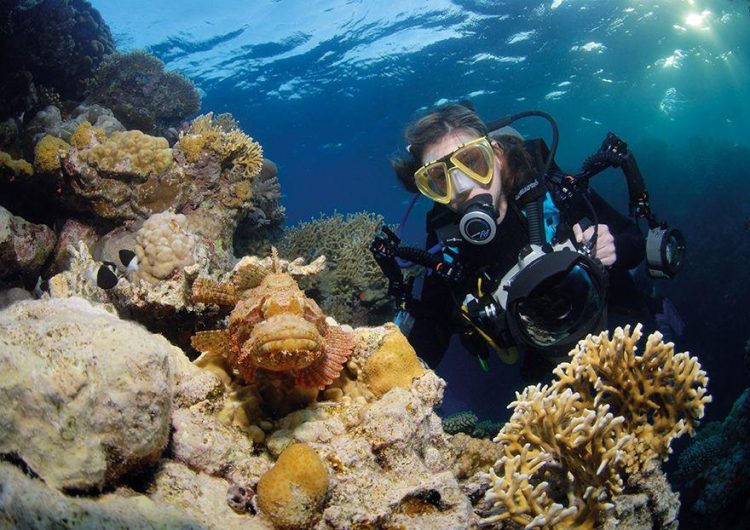 Enchantment Beneath the Waves: Unraveling the Allure of Diving in Hurghada