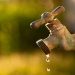 From Freezing to Functionality: Protecting Your Outdoor Taps with a Cover