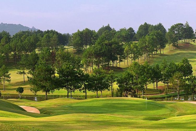 Exploring the Greens: The Fascinating Reasons People Go on a Vietnam Golf Tour