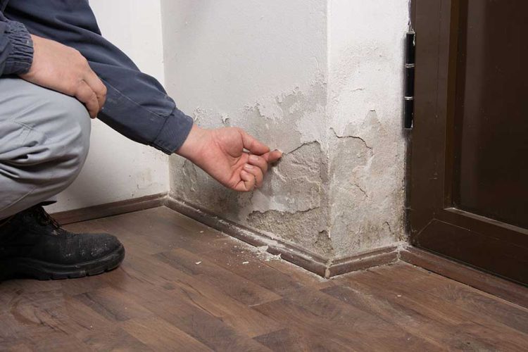 The Benefits of Using Housing Disrepair Solicitors in Manchester