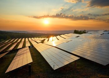 Rethinking Renewables: Why Recycling Solar Panels is Crucial for Long-term Sustainability