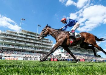 Inside Information: Staying Updated on Horse Racing Form Evolutions