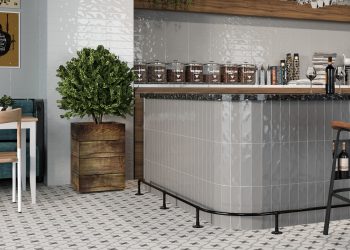 Beyond the Ordinary: The Allure of Patterned Tiles