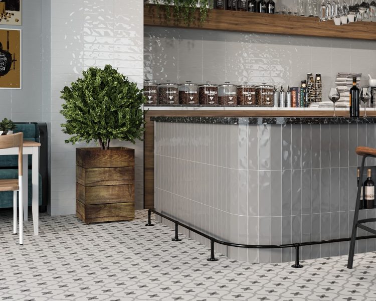 Beyond the Ordinary: The Allure of Patterned Tiles