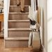 Ascending with Ease: Navigating the World of Devon Stair Lifts