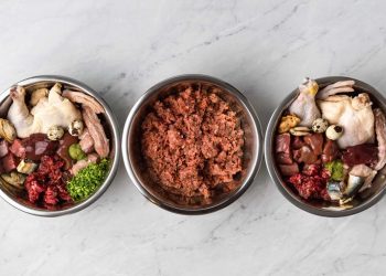 A Natural Approach: How Raw Dog Food Could Enhance Your Canine Companion’s Vitality