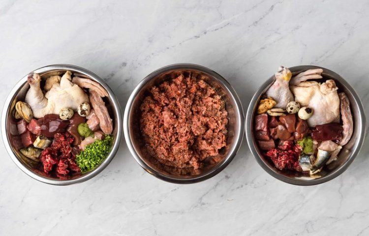 A Natural Approach: How Raw Dog Food Could Enhance Your Canine Companion’s Vitality