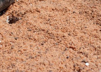 When White Turns Deadly: Preventing Frozen Fatalities with Grit Salt