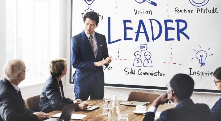 Transforming Leadership Through Insights Discovery: A Comprehensive Guide to Professional Development