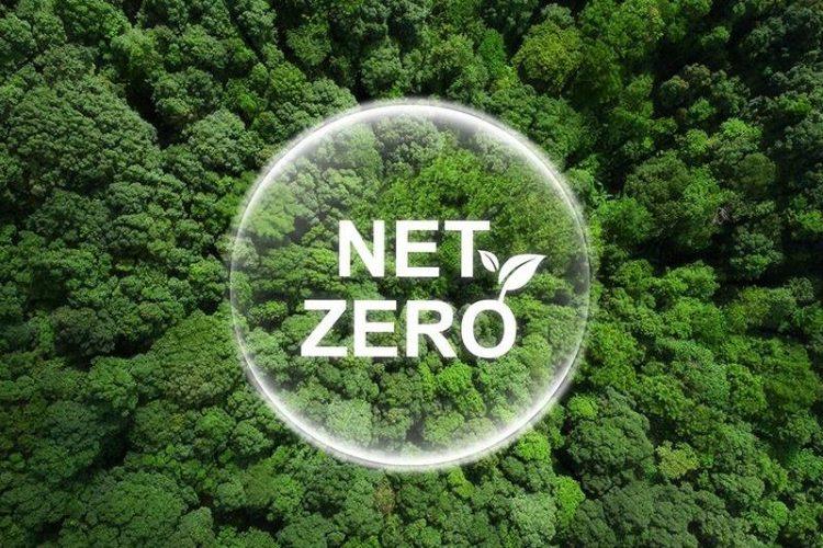 Building a Greener Business: Tools for Achieving Net Zero Goals