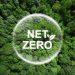 Building a Greener Business: Tools for Achieving Net Zero Goals