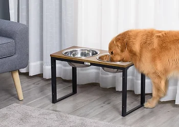 Tech-Savvy Pups: Exploring Smart Features in Modern Dog Feeding Stations